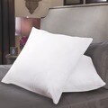 European Square 300 Thread Count Pillow (Set of 2)