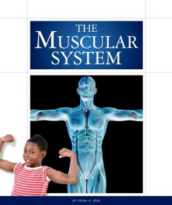 The Muscular System (Hardcover)