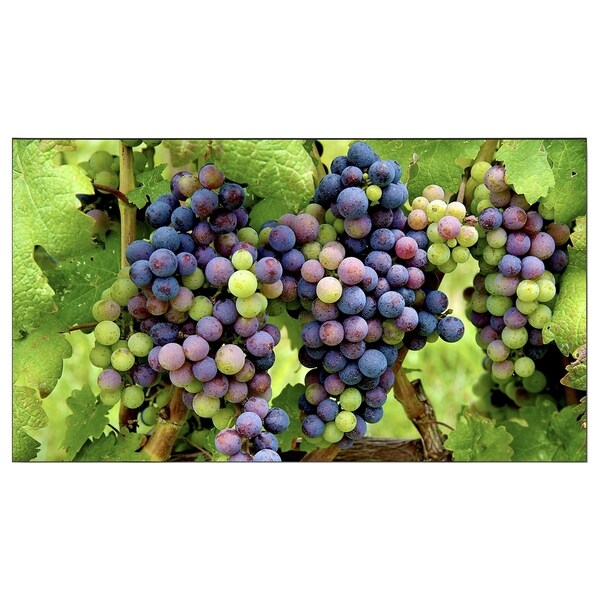 NEC Display 55" LED-Backlit Ultra-Narrow Bezel Professional-Grade Lar