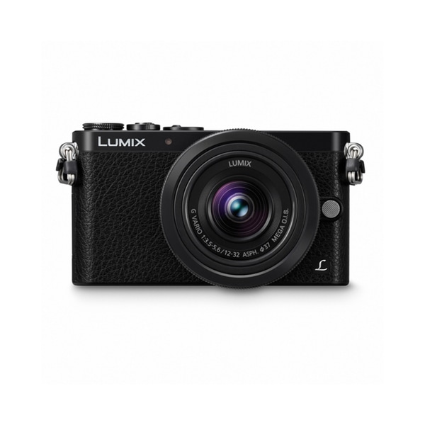Panasonic Lumix DMC-GM1 Mirrorless Micro 4/3 Camera 12-32mm Lens