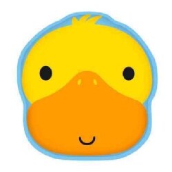 Duck (Paperback)