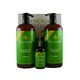 DermOrganic Argan Oil Shampoo Leave-in Treatment Masque 3-piece Kit