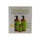 DermOrganic Argan Oil Shampoo Leave-in Treatment Masque 3-piece Kit
