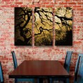John Black 'Gold Rendition: Japanese Tree' Gallery-Wrapped Canvas, (3-Piece Set)
