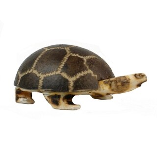 Handmade Turtle Wingo Shaker Instrument (Peru)