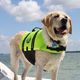 Paws Aboard Dog Yellow Life Jacket