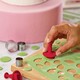 Cake Boss Decorating Tools Flower Cake Kit