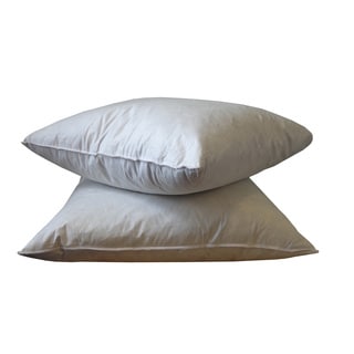 Buy Online 20 x 20-inch Feather Down Pillows Inserts (Pack of 2)