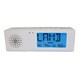 Maverick Digital Thermometer