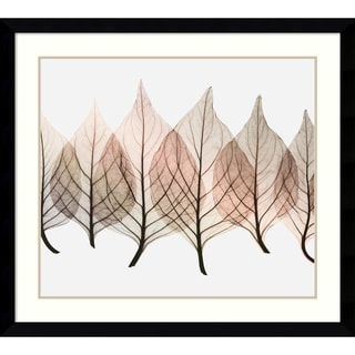 For sale Steven N. Meyers 'Celosias' Framed Art Print 39 x 35-inch