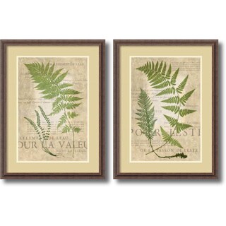 (^_-) Vision Studio 'Fern Folio- set of 2' Framed Art Print 24 x 32-inch Each