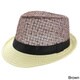 Faddism Men's Two-tone Fashion Fedora Hat