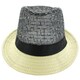 Faddism Men's Two-tone Fashion Fedora Hat
