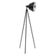 Studio Designs Photography Lamp with Adjustable Stand