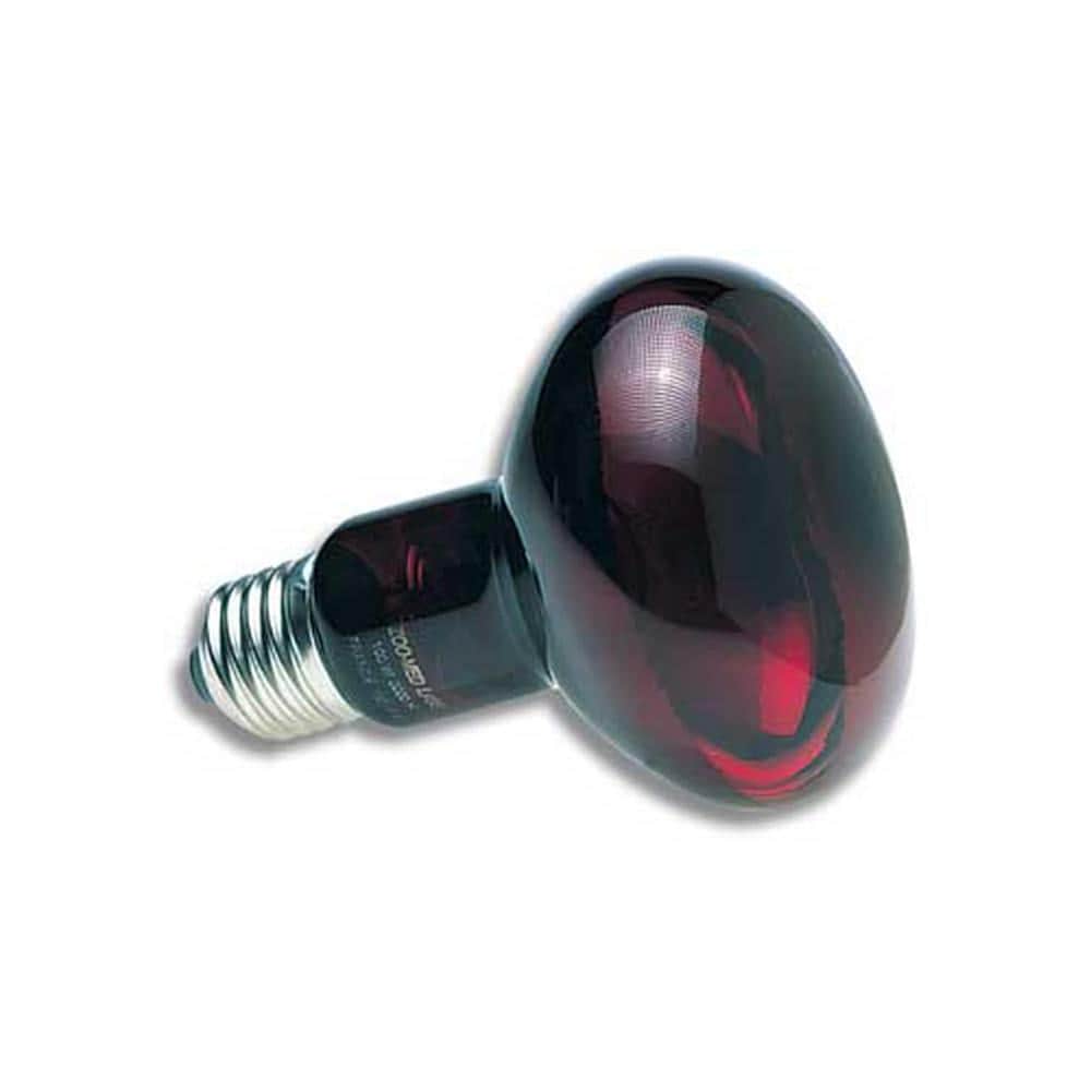 50 Watt Infrared Inc Nocturnal Bulb