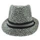 Faddism Men's Classic Fashion Fedora Hat