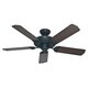Hunter Fan 52" Sea Air