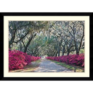 For sale Winthrope Hiers 'Azaleas, Bonaventure' Framed Art Print 43 x 31-inch