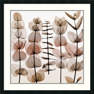 --->  Steven N. Meyers 'Eucalypti II' Framed Art Print 31 x 31-inch