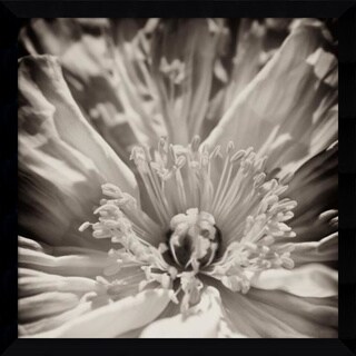 Buy  Jennifer Broussard 'Inner Beauty' Framed Art Print 32 x 32-inch