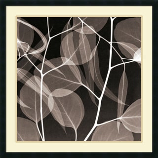 Save Price Steven N. Meyers 'Eucalyptus Leaves (Negative)' Framed Art Print 34 x 34-inch