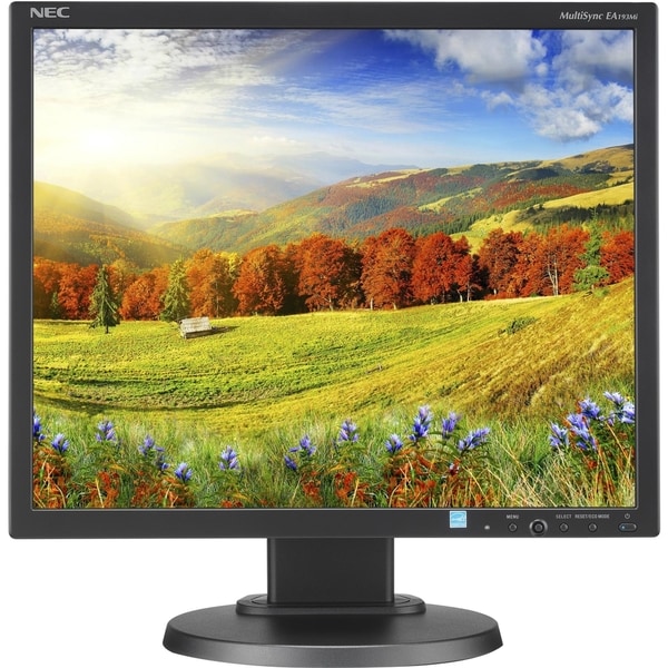 NEC Display MultiSync EA193MI-BK 19" LED LCD Monitor - 5:4 - 6 ms