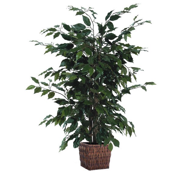 20 Ft Containers For Sale Ontario Pdf 20 Foot Container In Square 