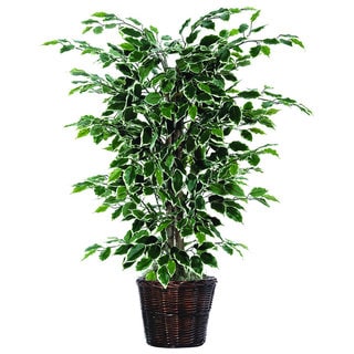 Find Cheap Price Christopher Knight Home 4-foot Variegated Ficus Bush