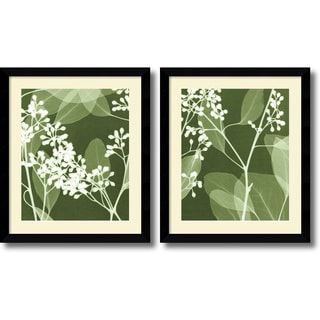Buy Online Steven N. Meyers 'Eucalyptus Buds- set of 2' Framed Art Print 27 x 32-inch Each