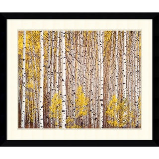 Great Prices Christopher Burkett 'Aspen Grove, Colorado' Framed Art Print 39 x 33-inch