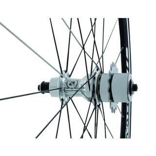 Single Speed Cog Set-Image