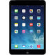 Apple 16GB iPad mini with Retina Display Wi-Fi Only Space Gray