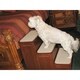 Designer Hard Wood Pet Stairs with Storage 