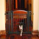 Carlson Home Decor Walk Through Pet Gate