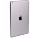 Silver iPad Air Body Guard