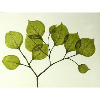 Low Price 'Leaves' Summer Canvas Art Print