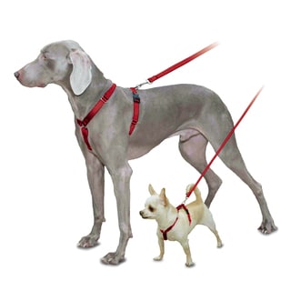 Pet Safe Red Sure-Fit Pet Harness-Image