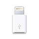 Apple MD820ZM/A Micro-USB to 8-pin Lightning Adapter for iPhone 5/5S, 6/6S
