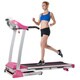 Sunny Health and Fitness SF-T4400 Treadmill