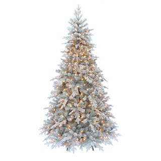 Buy Cheap Kurt Adler 7-foot Pre-lit Frosted Pine Tree