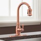 Danze Single-handle Kit Opulence Pull-down Lever Handle Antique Copper Faucet
