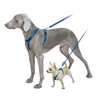 Pet Safe Sure-Fit Blue Harness-Image