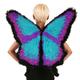 Swallowtail Butterfly Wings 