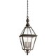 Troy Lighting Townsend 4-light Outdoor Hanging Lantern