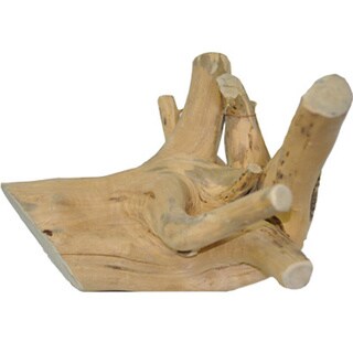 A & E Cage Co. Small Reptile Branch 