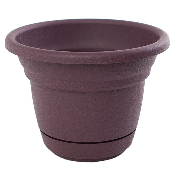 Bloem Tahoe Exotica Planter