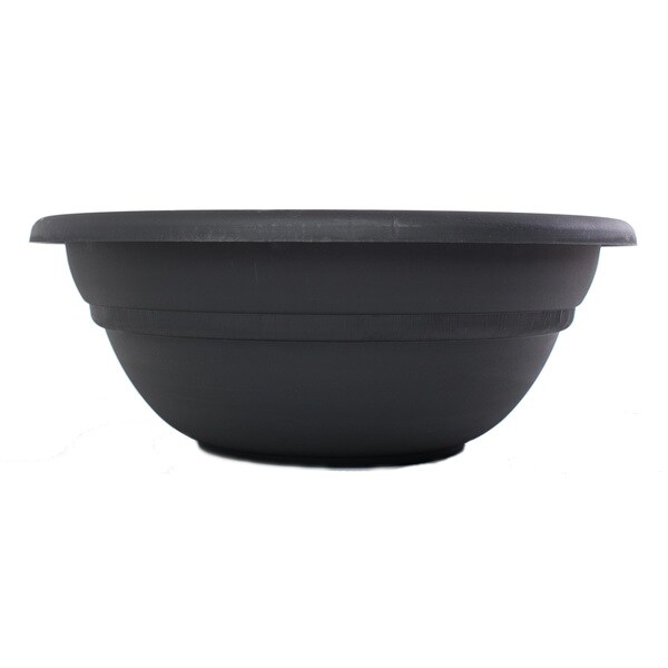 Bloem Black Milano Bowl
