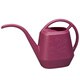 Bloem Aqua Rite Union Red Watering Can