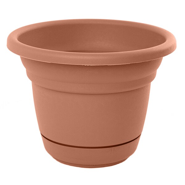 Bloem Tahoe Curated Planter (Pack of 6)