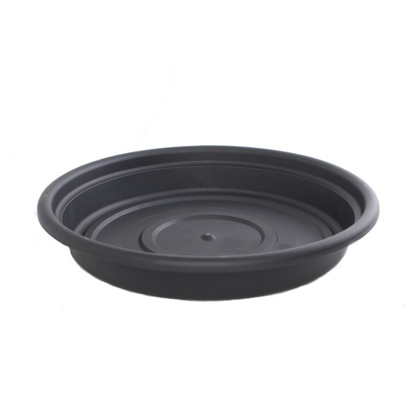 Bloem Dura Cotta Saucer Black Planter (Pack of 6)